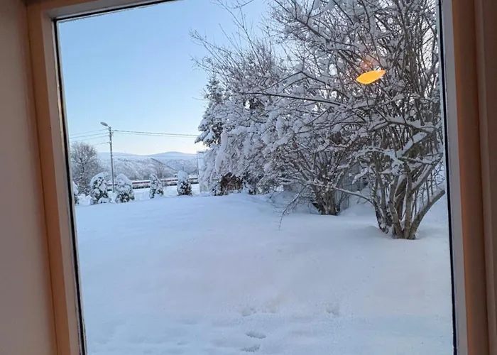 Lovely With Free Parking Apartamento *