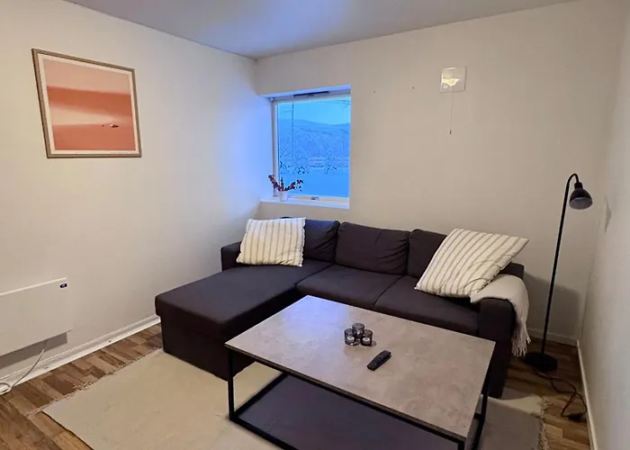 Lovely With Free Parking Apartment Tromso